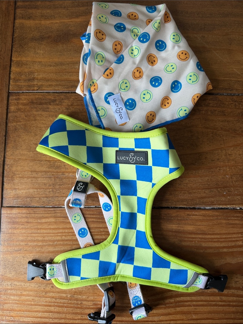 Lucy & Co. dog Blue and Lime Green Checker Harness with Smiley Bandana